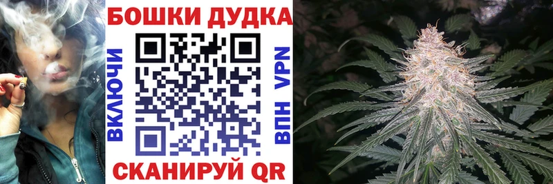 Купить  Дубна  Канабис ГИДРОПОН 